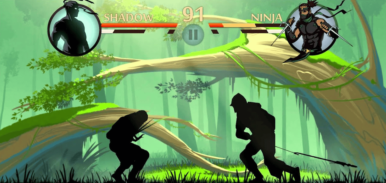 Shadow Fight 2